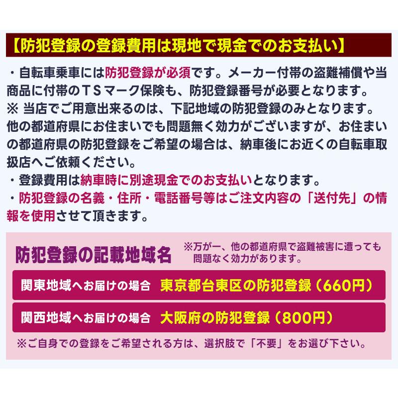 FRONTIA (地域限定販売) 電動自転車 ブリヂストン フロンティア FRONTIA (地域限定販売) 電動自転車 ブリヂストン フロンティア