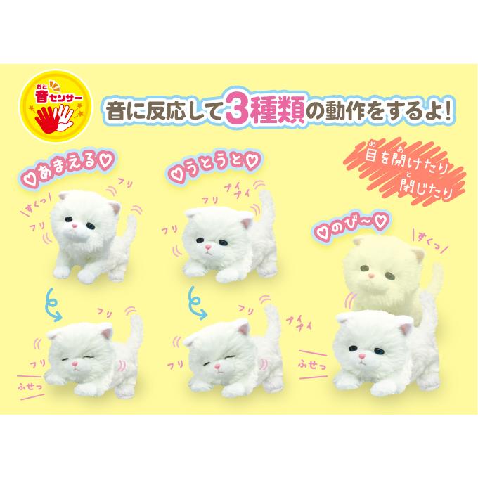 ポッケにゃん♡おねむちゃん♡エキゾチックベビー♡子猫♡アートドール♡ぬいぐるみ♡ Hermeow's Shop