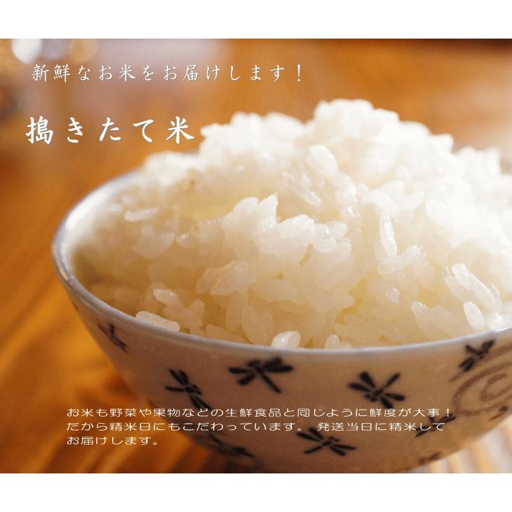 長野こしひかり 安曇野産 1等米 令和3年産 玄米 【30kg】|hayashiya-kome|08