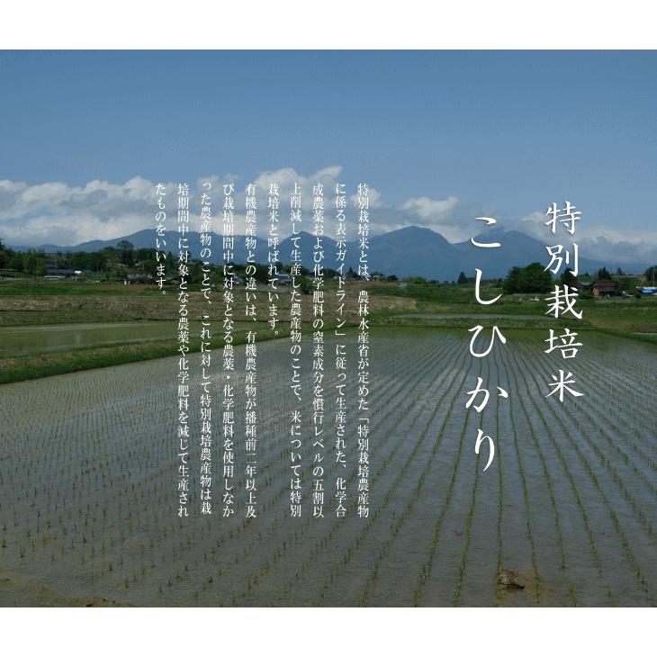 令和７年産 特別栽培米 こしひかり 御牧原産 １等米 玄米 ３０kg_1