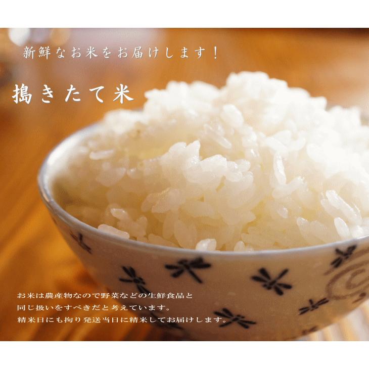 令和７年産 特別栽培米 こしひかり 御牧原産 １等米 玄米 ３０kg_8