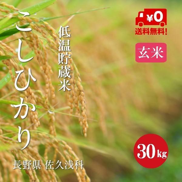 令和７年産 長野県産 こしひかり 浅科産 １等米 玄米 ３０kg