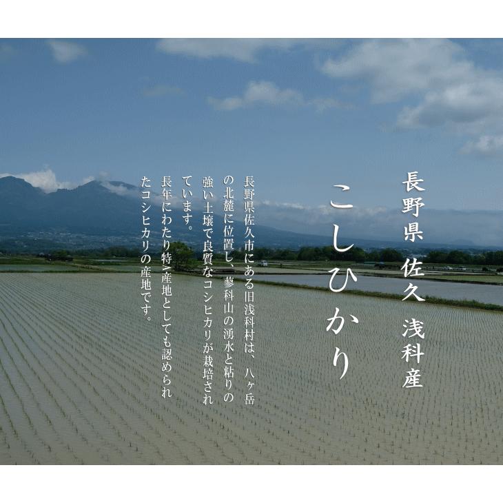 コシヒカリ 令和6年産 長野県産 こしひかり 浅科産 1等米 玄米 コシヒカリ 令和6年産 長野県産 こしひかり 浅科産 1等米 玄米