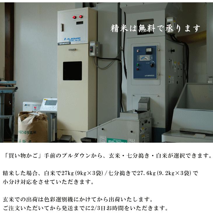 コシヒカリ 令和6年産 長野県産 こしひかり 五郎兵衛米 1等米 コシヒカリ 令和6年産 長野県産 こしひかり 五郎兵衛米 1等米