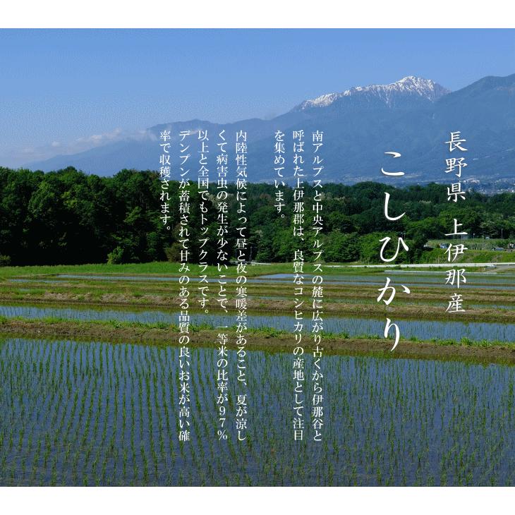 コシヒカリ 令和7年産 長野県 上伊那産 こしひかり 1等米 玄米