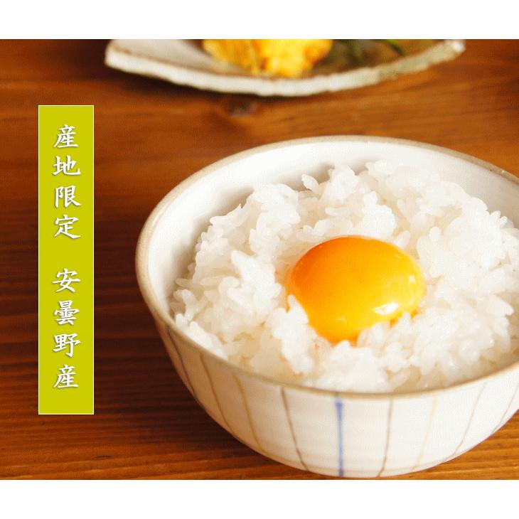 新米】令和6年産 長野県 安曇野産 こしひかり 1等米 白米 5kg×2袋  