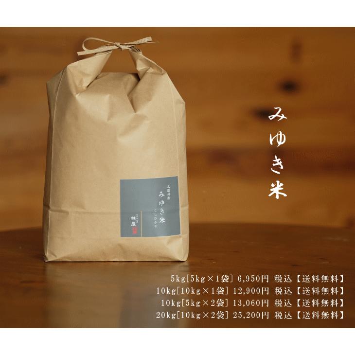 長野県産　コシヒカリ　特A評価！令和7年米 コシヒカリ 令和7年産 長野県産 こしひかり 幻の米 みゆき米 1等米