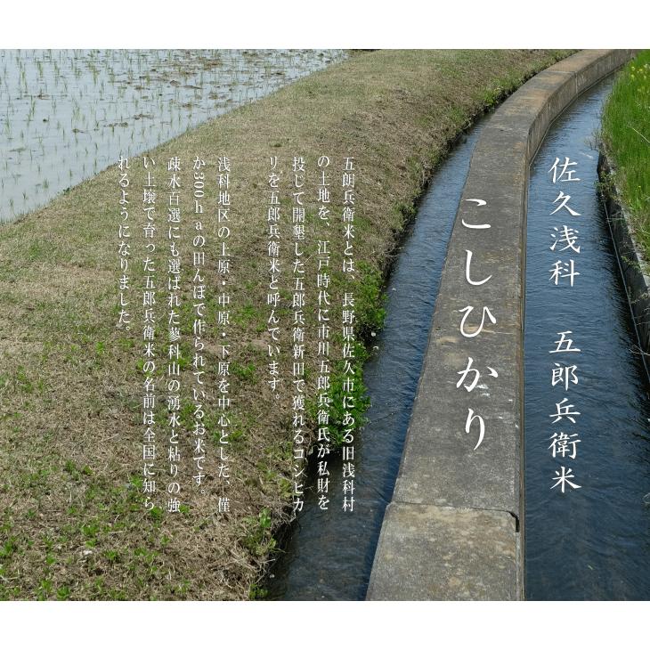 令和７年産 長野県産 こしひかり 五郎兵衛米 1等米 白米 １０kg