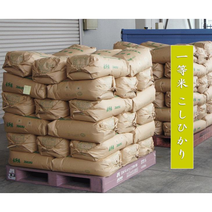 コシヒカリ 令和6年産 長野県産 こしひかり 五郎兵衛米 1等米
