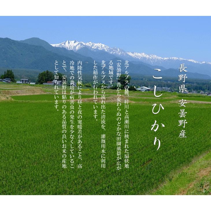 令和７年産 長野県 安曇野産 こしひかり 白米 ２０kg_1