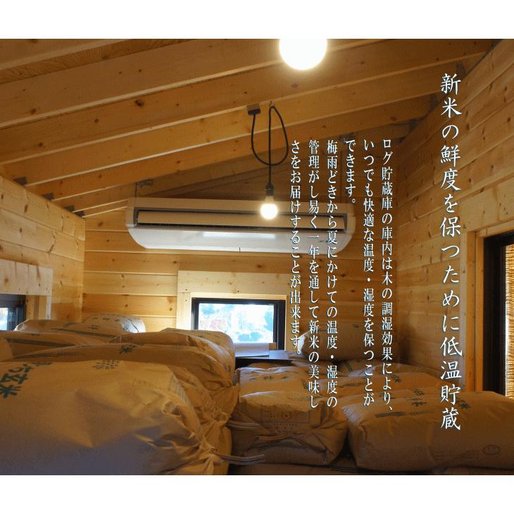 令和７年産 長野県 安曇野産 こしひかり 白米 ２０kg_3
