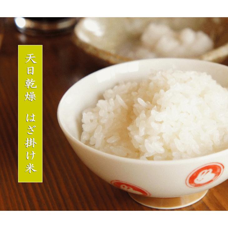 令和７年産 長野県産 こしひかり 「はざ掛け米」 １等米 白米 ２０kg_2