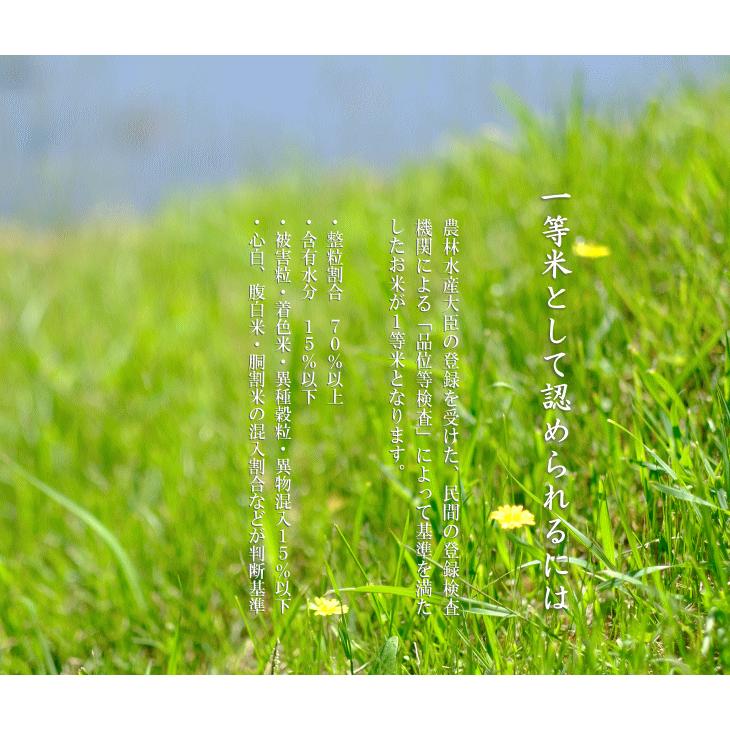 令和７年産 長野県産 こしひかり 「はざ掛け米」 １等米 白米 ２０kg_4