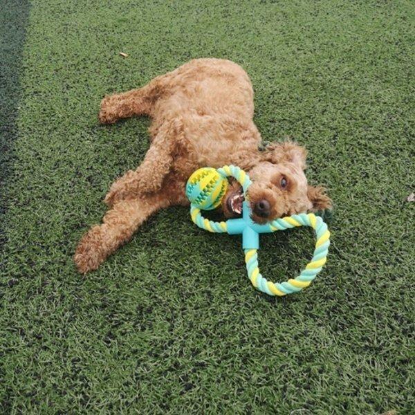 犬おもちゃ 犬用ボール おやつボール 噛むおもちゃ 犬遊び用 知育玩具 運動不足やストレス解消 餌入れ 超特価 餌入れ