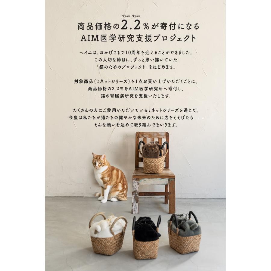 HAYNI 価格改定予定／11月中旬頃 AIM医学研究支援PJ実施中