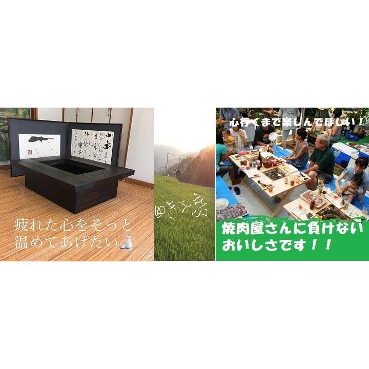 灰 五徳セット】囲炉裏テーブル座卓タイプ1200x800x280mm : 木製