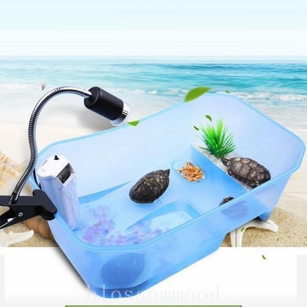 亀の水槽 両生類 カメの楽園 飼育ケース ボックス タートルタンク