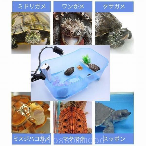 亀の水槽 両生類 カメの楽園 飼育ケース ボックス タートルタンク