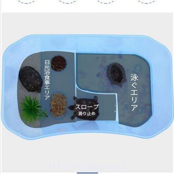 亀の水槽 両生類 カメの楽園 飼育ケース ボックス タートルタンク