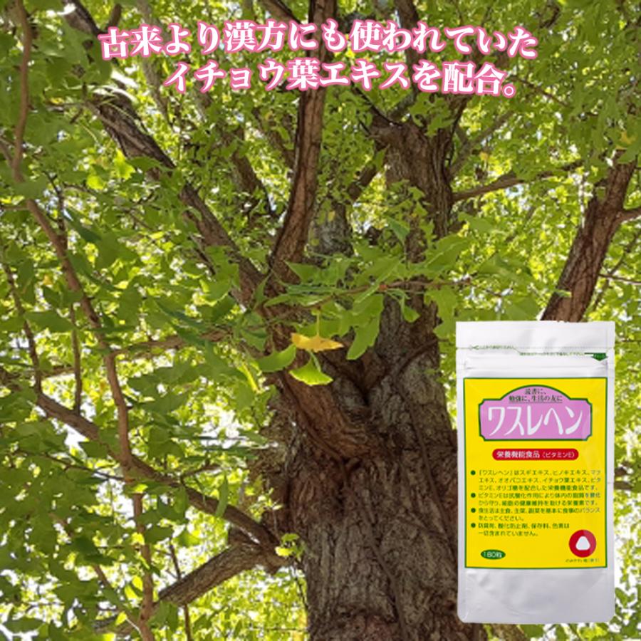 フローラ 【メーカー公式】【送料無料】フローラ(Flora) 栄養機能食品