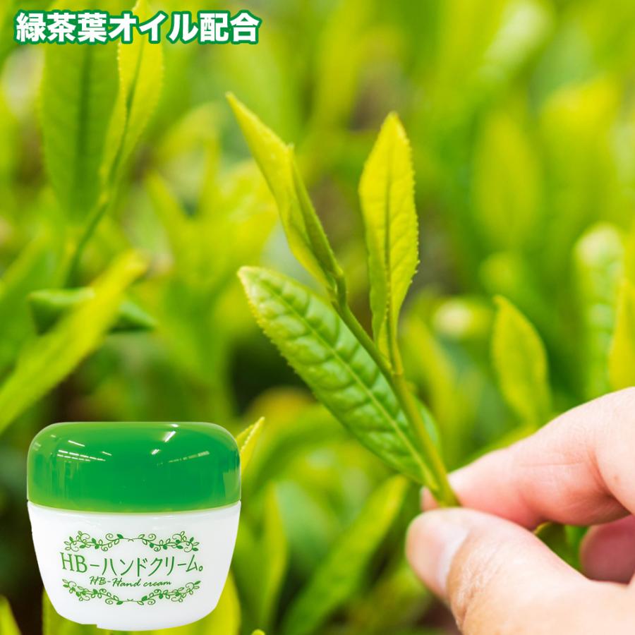フローラ 【メーカー公式】フローラ(Flora) 植物（ボタニカル）成分