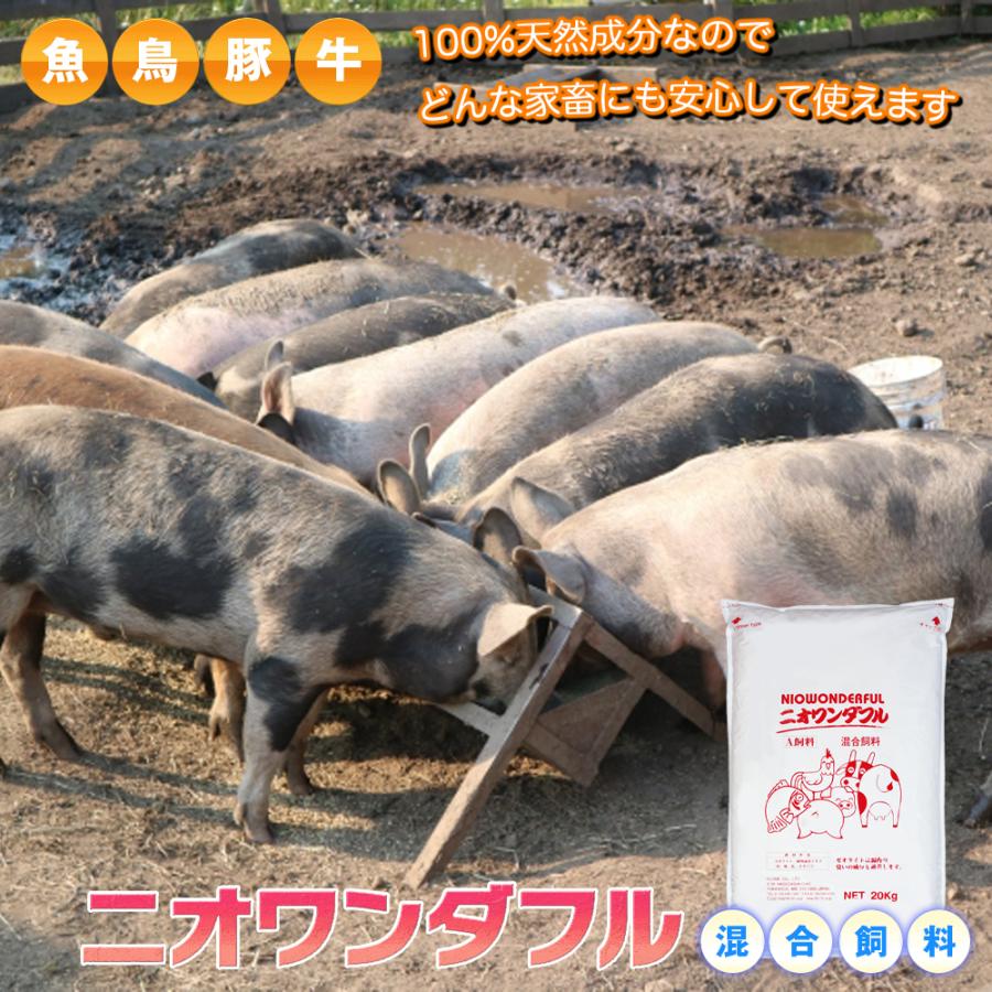 フローラ 【メーカー公式】フローラ(Flora) 動物の元気に混合飼料 ニオ