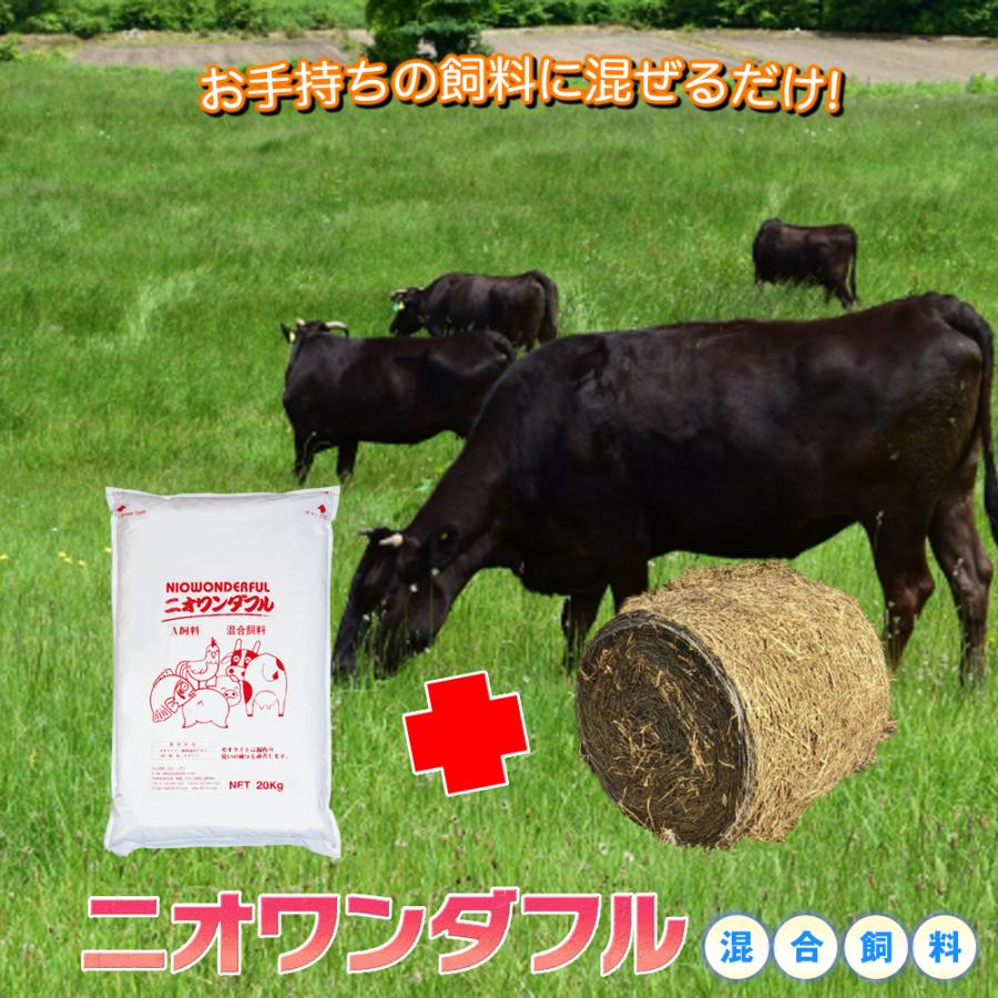 フローラ 【メーカー公式】フローラ(Flora) 動物の元気に混合飼料 ニオ