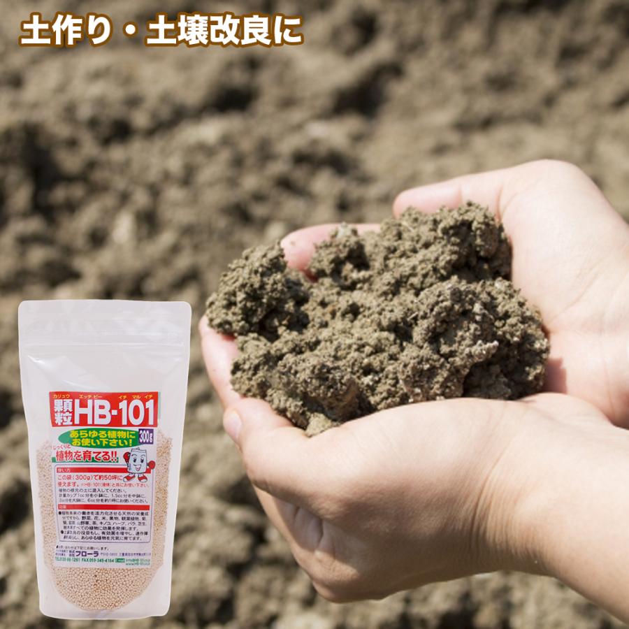 【メーカー公式】フローラ(Flora) 植物活力剤 HB-101 緩効性 顆粒 300g 花 野菜 観葉植物 多肉植物 栄養剤 肥料 園芸 土壌改良 土栄養 100%天然植物成分 | フローラ | 01