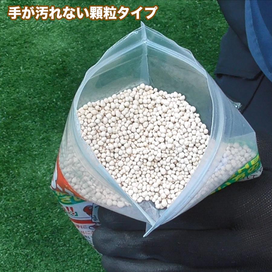 【メーカー公式】フローラ(Flora) 植物活力剤 HB-101 緩効性 顆粒 300g 花 野菜 観葉植物 多肉植物 栄養剤 肥料 園芸 土壌改良 土栄養 100%天然植物成分 | フローラ | 02