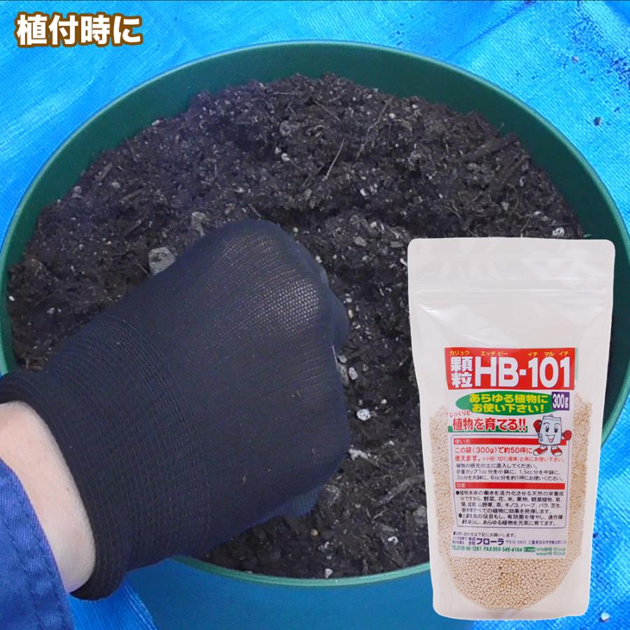 【メーカー公式】フローラ(Flora) 植物活力剤 HB-101 緩効性 顆粒 300g 花 野菜 観葉植物 多肉植物 栄養剤 肥料 園芸 土壌改良 土栄養 100%天然植物成分 | フローラ | 04