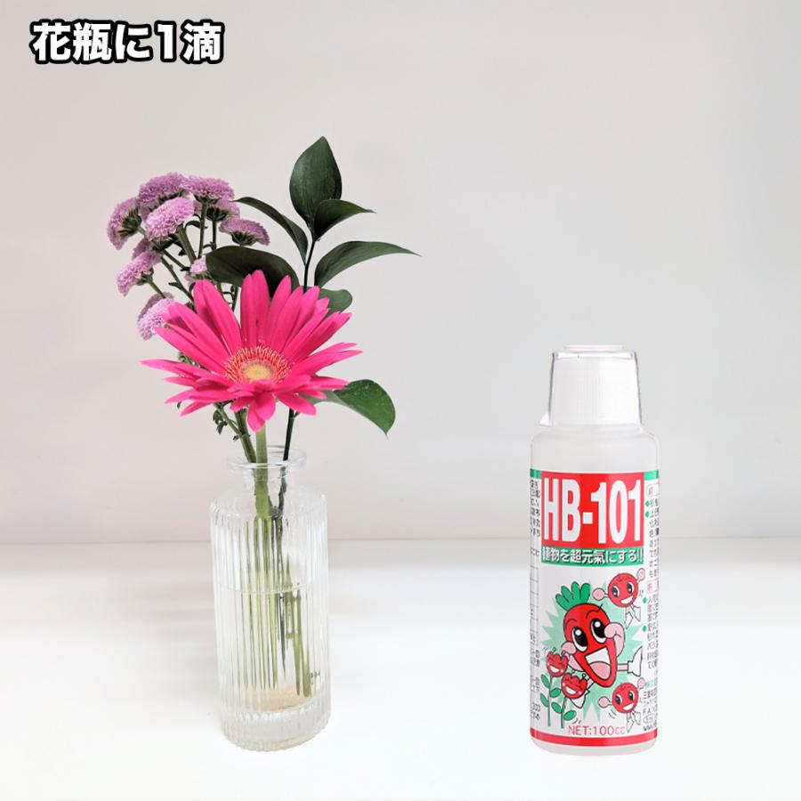 【メーカー公式】フローラ(Flora) 天然植物活力液 HB-101 10L 原液 1000倍希釈  花 野菜 観葉植物 水耕栽培 切花延命 栄養剤 肥料 100%天然植物成分 | フローラ | 07