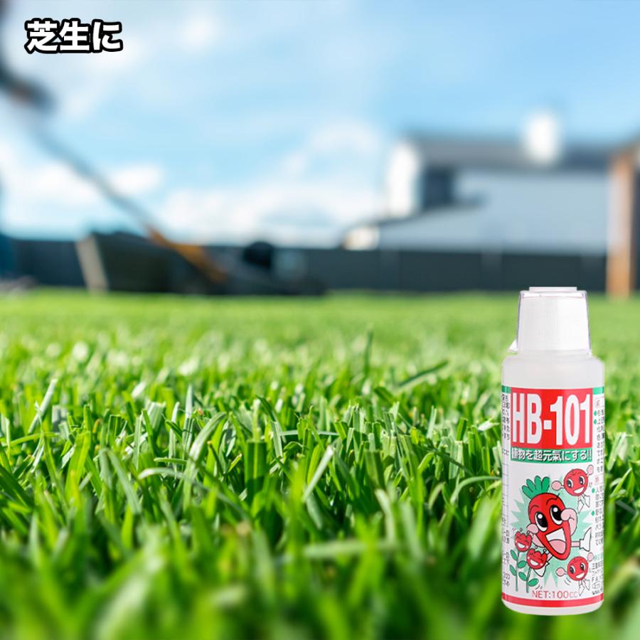 【メーカー公式】フローラ(Flora) 天然植物活力液 HB-101 20L 原液 1000倍希釈  花 野菜 観葉植物 水耕栽培 切花延命 栄養剤 肥料 100%天然植物成分 | フローラ | 05