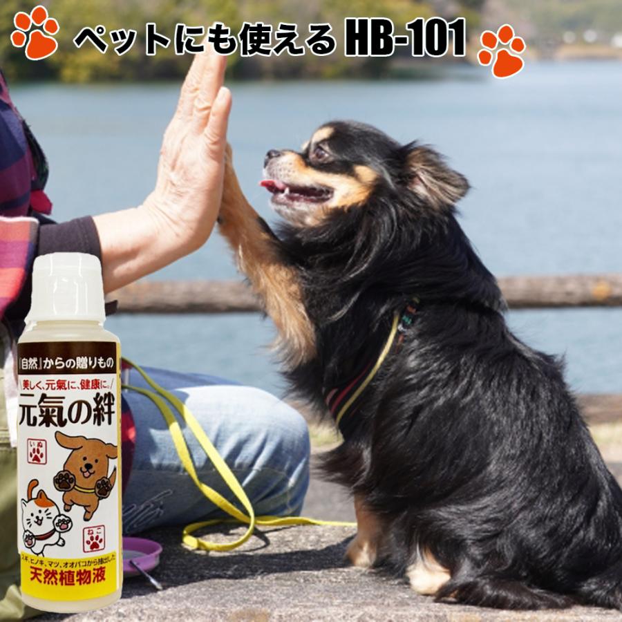 フローラ 【メーカー公式】フローラ(Flora) ペットの健康増進に