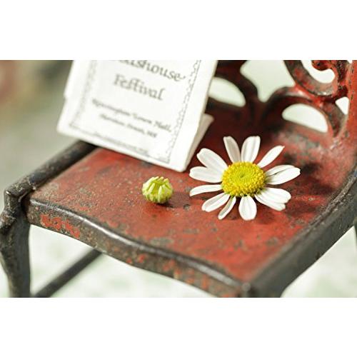 Canon 単焦点マクロレンズ EF100mm F2.8L マクロ IS USM フルサイズ対応     商品情報    3554B005AA