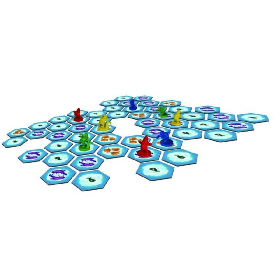 アークライト　それはオレの魚だ! (Hey Thats My Fish!) 完全日本語版 ボードゲーム | アークライト | 01