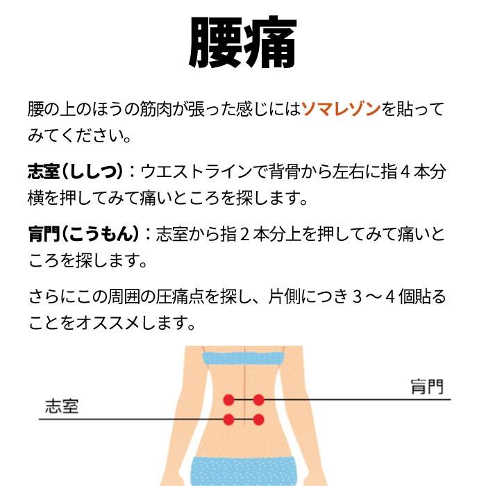 495円 正規品販売! ソマセプト Lサイズ 10本入 10個入 ソマニクス マイクロ 495円 正規品販売! ソマセプト Lサイズ 10本入 10個入 ソマニクス マイクロ