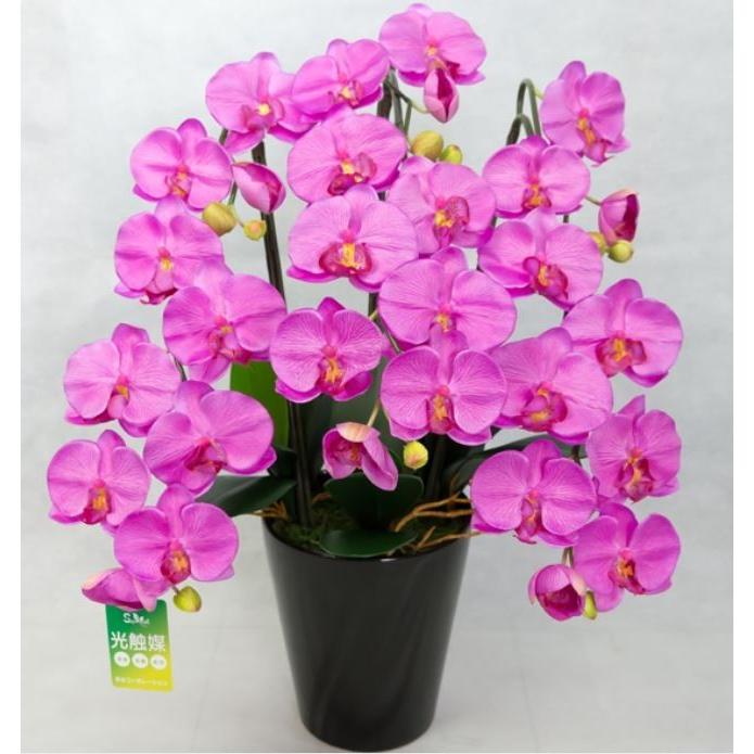 送料無料 メーカー直送代引不可 ヤフー店の彩光コーポレーション 光触媒胡蝶蘭 翠 Midori 赤 Pm3 4 アートフラワー鉢花 彩光コーポレーション 光触媒胡蝶蘭 翠 Midori 赤 Pm3 4