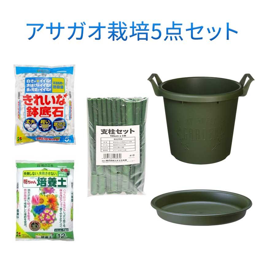 アサガオ栽培セット 培養土 鉢底石 支柱 コンテナ 受け皿のセット 夏休み 自由研究 工作 Asagao Set01 ホームセンターきたやま ヤフー店 通販 Yahoo ショッピング