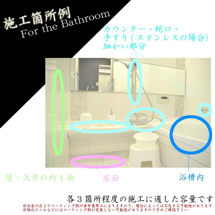 公式 Diy 水まわり ガラス コーティング剤 50ml 風呂 浴室 浴槽 バス シンク キッチン 台所 トイレ 洗面所 送料無料 新版 Atempletonphoto Com