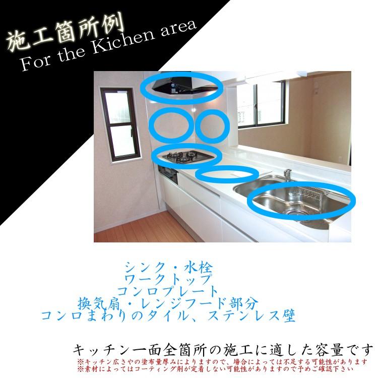 DIY 水まわり ガラス コーティング剤 50ml 風呂 浴室 浴槽 バス シンク 