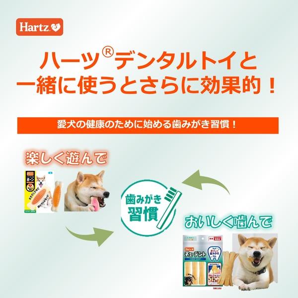 住商アグロ チューデント SS 7本入 (超小型犬用 犬用 おやつ デンタル