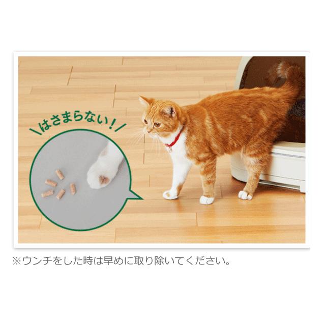 ニャンとも清潔トイレ 脱臭・抗菌 チップ 小さめの粒 (2.5L×6個 ニャンとも清潔トイレ 脱臭・抗菌 チップ 小さめの粒 (2.5L×6個