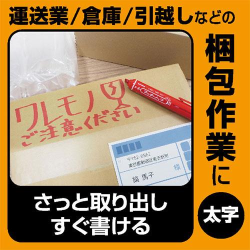 ZEBRA（ゼブラ） マッキーノック 太字 レッド 日本製 P-YYSB6-R (油性
