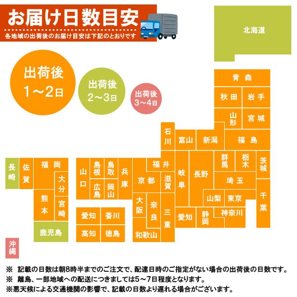 Coca Cola（コカコーラ） (まとめ買い48本) ファンタ マスカット (復刻