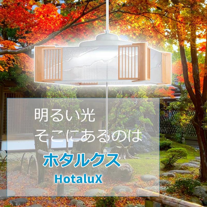 調味料入れ 2個 おしどり型 卓上用 和光 monowa027 monowa027 キッチンサイド調味料ストッカー 大河商事