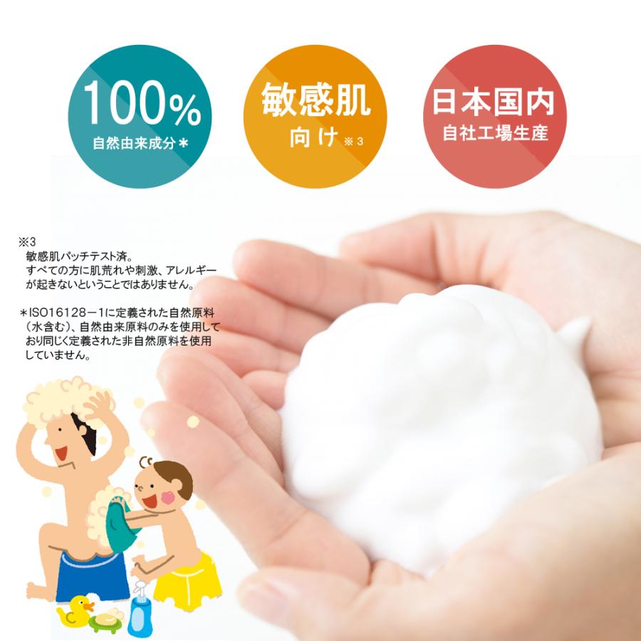 太陽油脂 パックスナチュロン ボディーソープ 詰替用 500ml (泡状