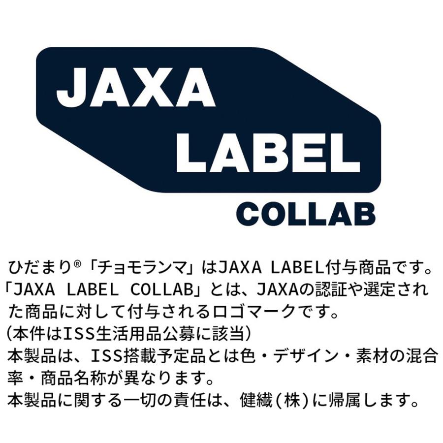 ひだまり 紳士用肌着 ズボン下 LL ネイビー チョモランマ 日本製