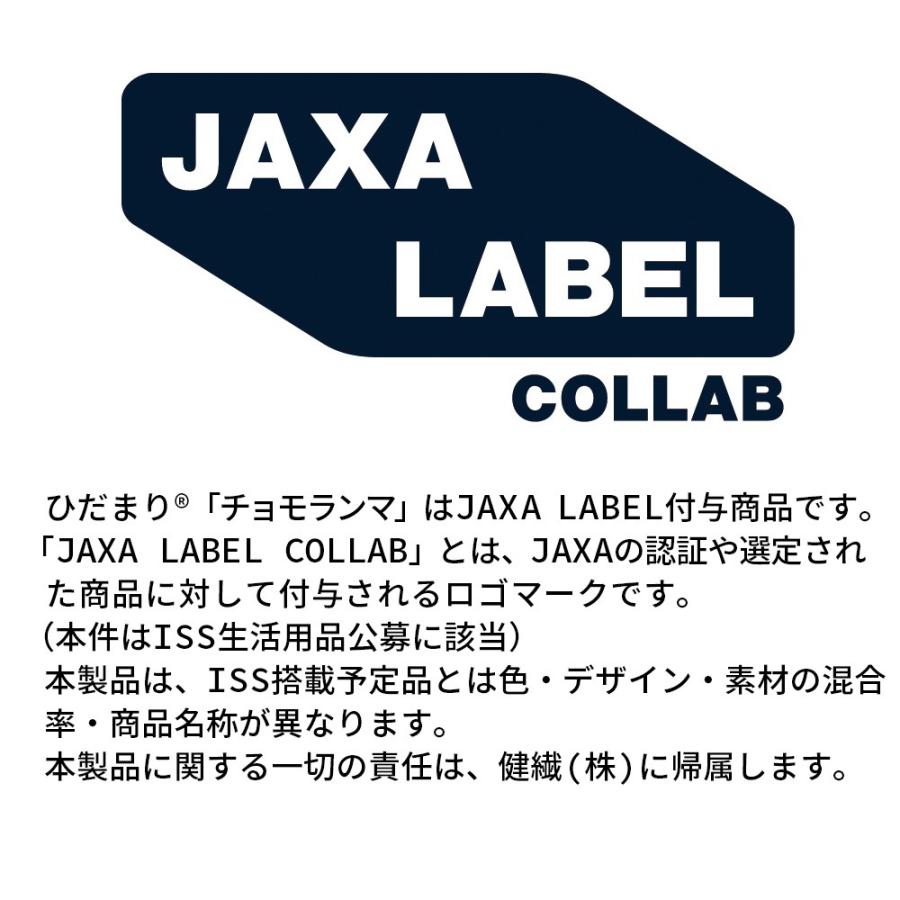 ひだまり 婦人用肌着 タイツ LL ネイビー チョモランマ 日本製 QMS863
