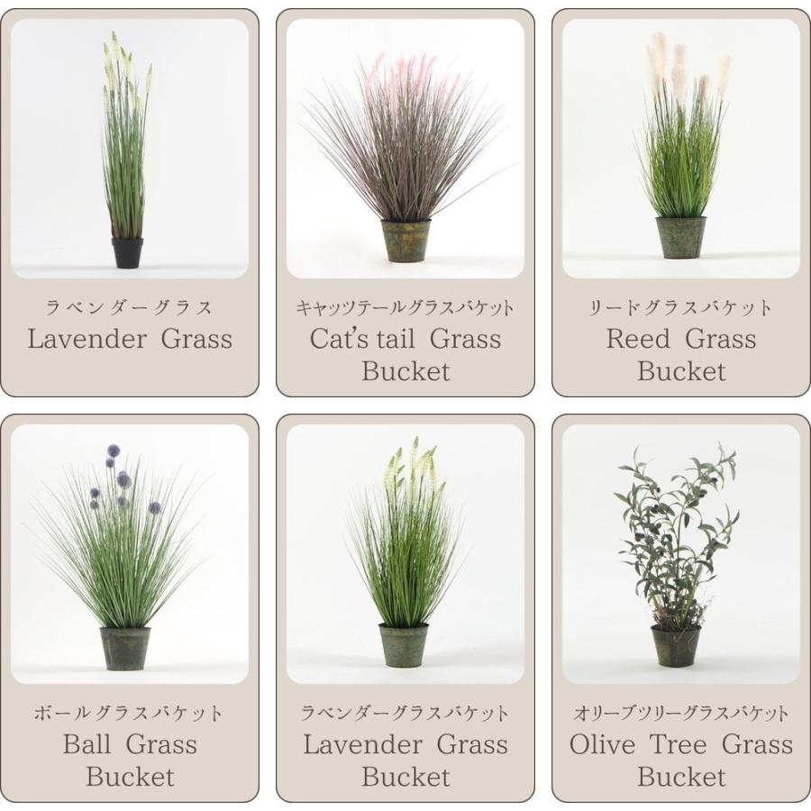 HAGiHARA（萩原） オシャレで枯れない人工観葉植物 レッドグラス