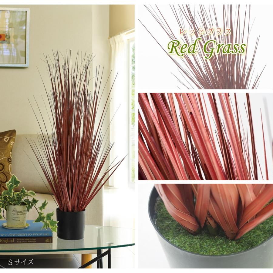 HAGiHARA（萩原） オシャレで枯れない人工観葉植物 レッドグラス
